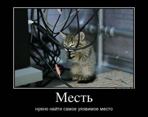 Демотиваторы демотиваторы
