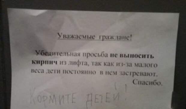 Смешные и прикольные объявления в подъездах (12 фото)