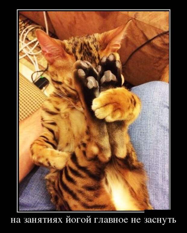 Демотиваторы Демотиваторы