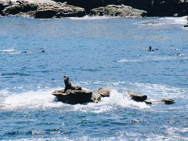 La-Jolla-Cove-San-Diego-01.jpg