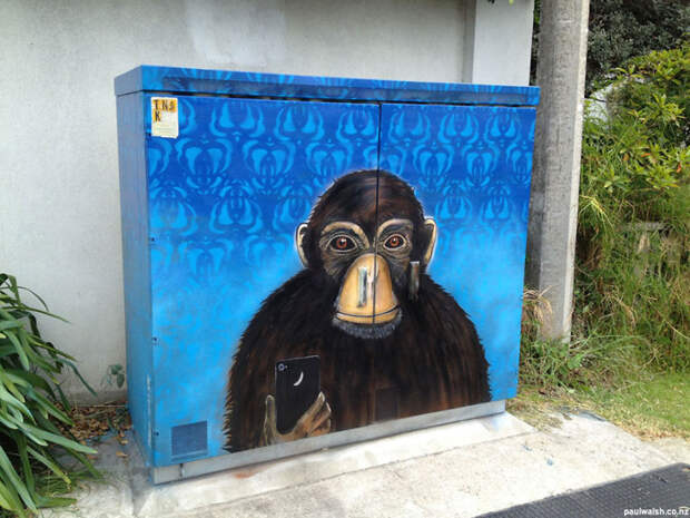 Селфи шимпанзе граффити, электрощиток