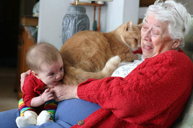 Котэ-доктор. Фелинотерапия