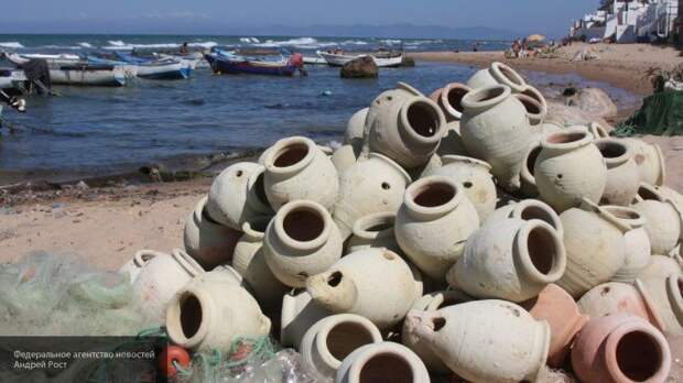 Экологу, очистившему загрязненные пляжи Туниса, предложили место в правительстве