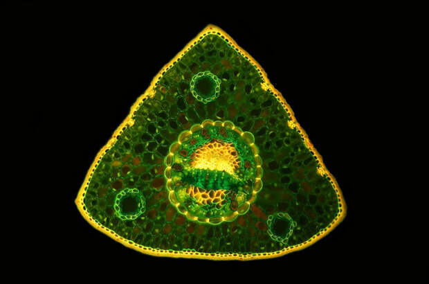 Угадайка по разным темам. #40