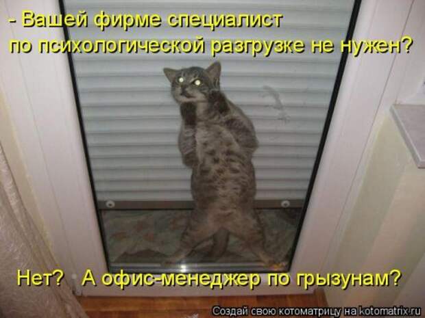 Еженедельная котоматрица (33 фото)