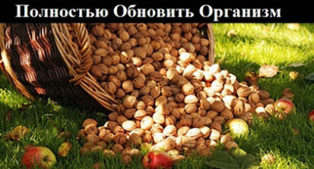 Уникальный Рецепт. Это Возможно! Полностью Обновить Организм! Полное обновление организма! Будьте здоровы!