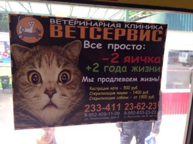 Фото Подборочка сну не повредит