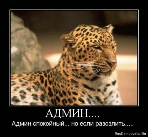 Новые демки приколы для всех.