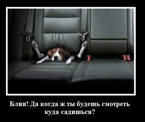 Мои демотиваторы, оцените творчество.