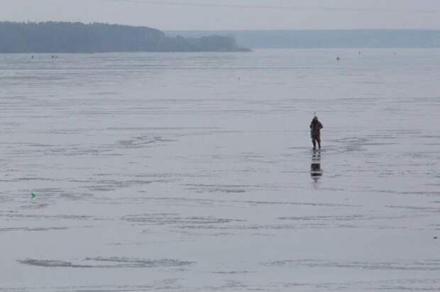 Юрист Хаминский напомнил о запрете и последствиях незаконной рыбалки в России