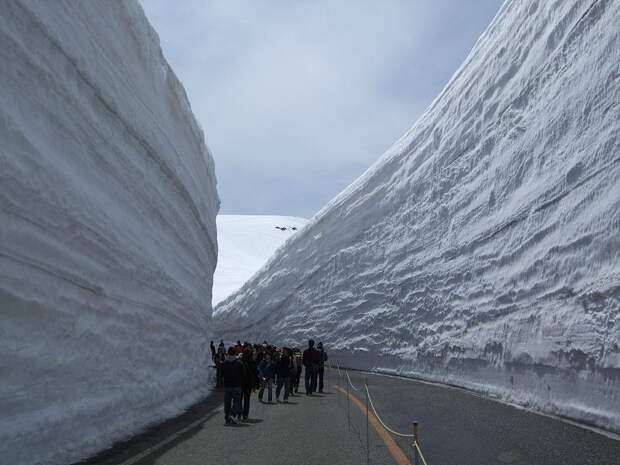 Снежный коридор в Японии будет держаться до середины июня... горы, путешествия, снег, туризм, факты, япония