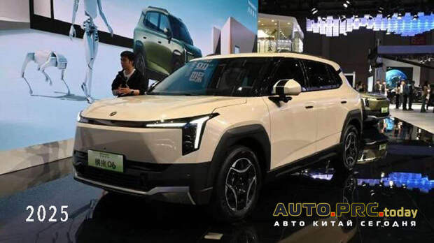 Dongfeng Nammi 06