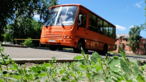 Маршрутка / Фото: amic.ru