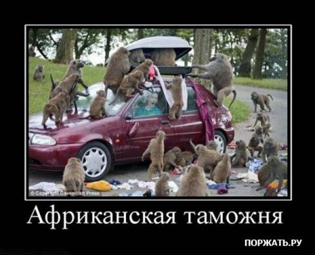 Демотиваторы, не много, но все прикольные!