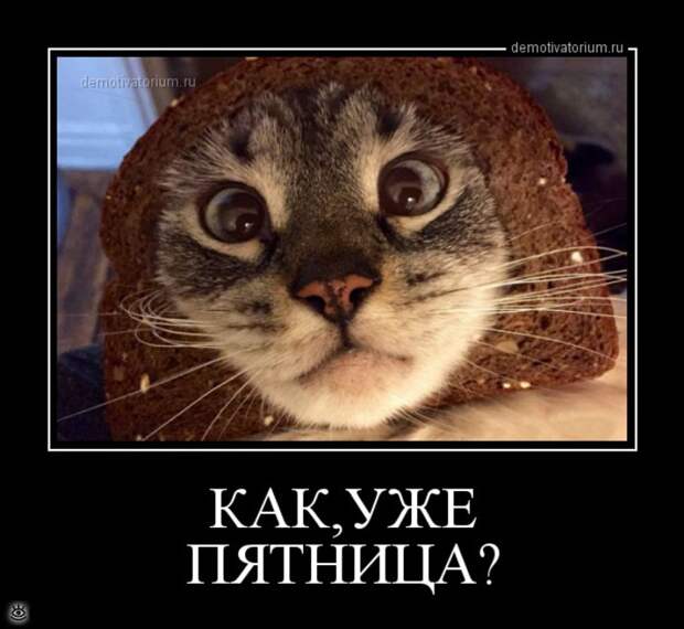 Пусть жизнь научит! 0