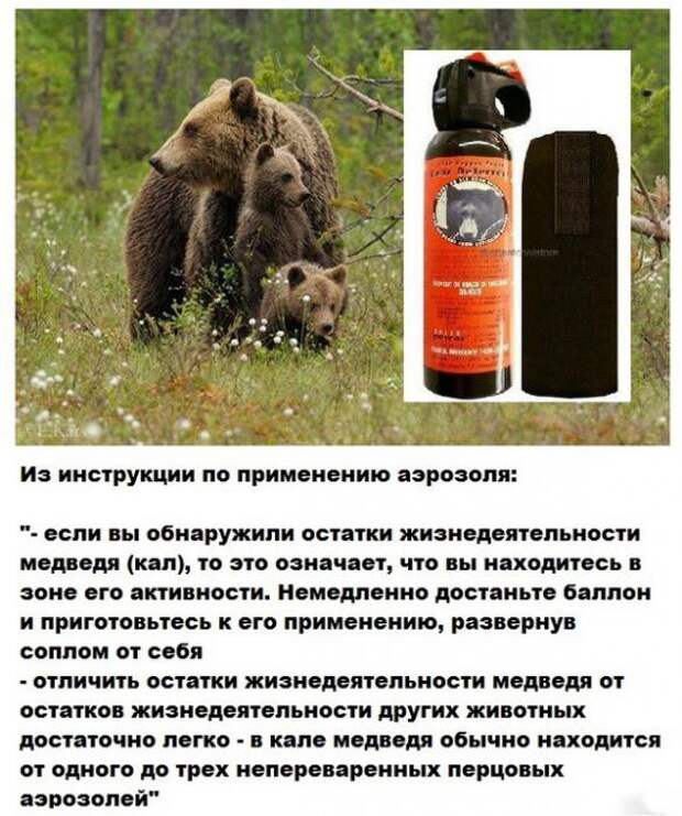 Картинки, юмор, приколы