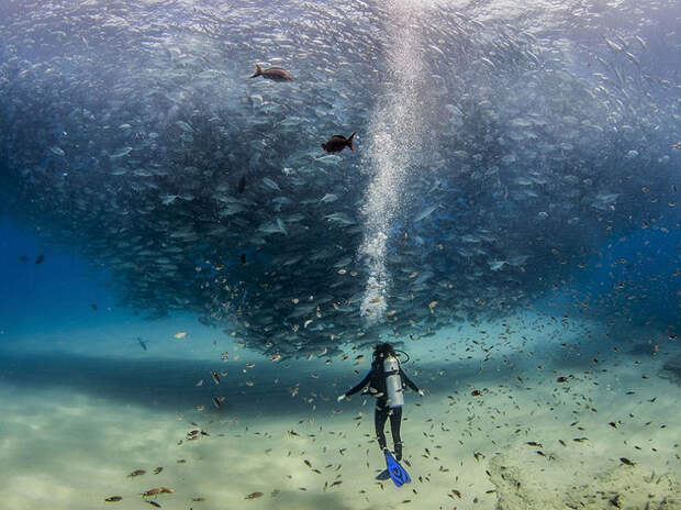 national-geographic-photo-of-the-day-internet-favorites-2015-24__880