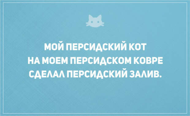 открытки о том, что без кота и жизнь не та (2)