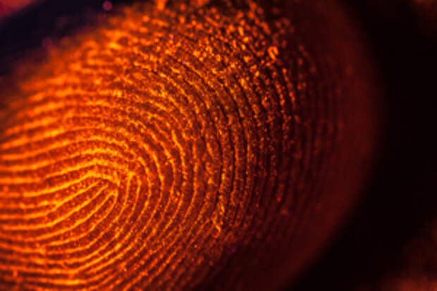bank-biometrics-3