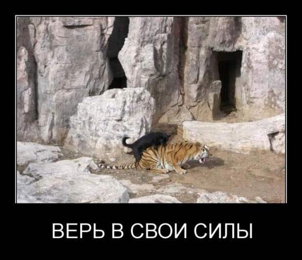 Демотиваторы " 101 %" 15/04/12