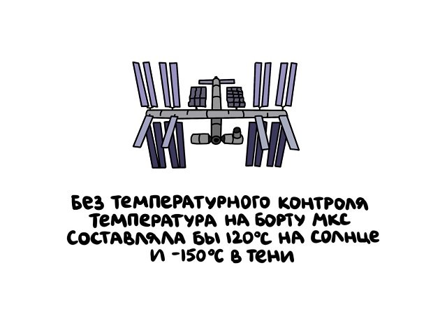 Интересные и короткие факты на все случаи жизни