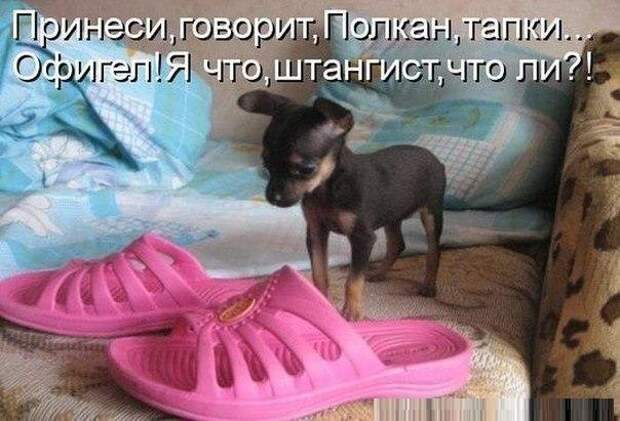 Всяко - разно 12 )))