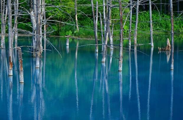 Голубой пруд Биэй в Японии летом. Красивое фото