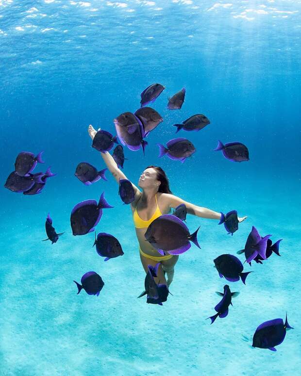 Андре Масгроув (André Musgrove) и его невероятные подводные снимки