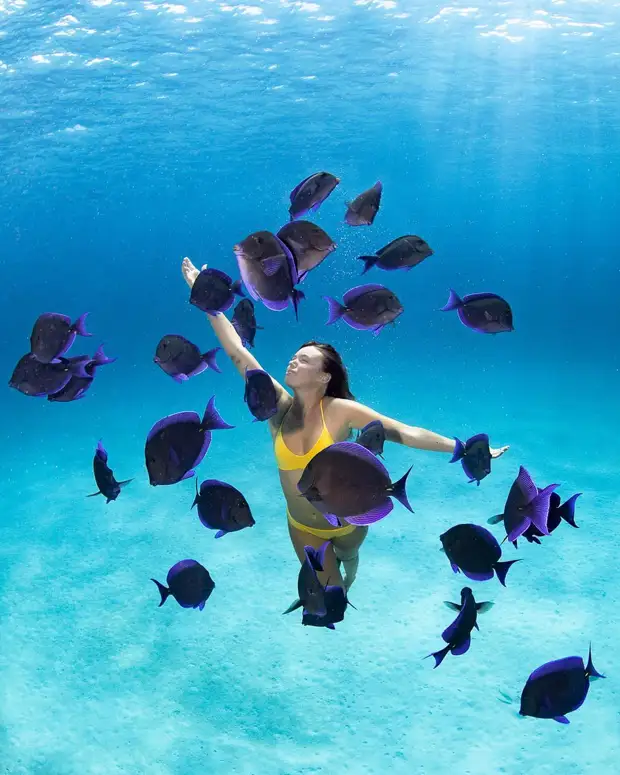 Андре Масгроув (André Musgrove) и его невероятные подводные снимки