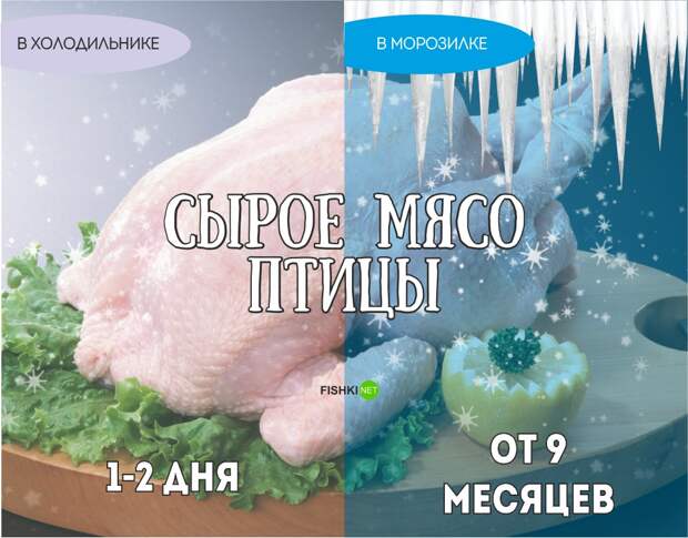 Реальный срок годности продуктов еда, продукты, хранение