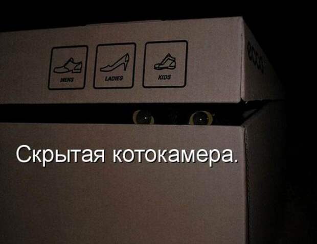 Мысли вслух :)