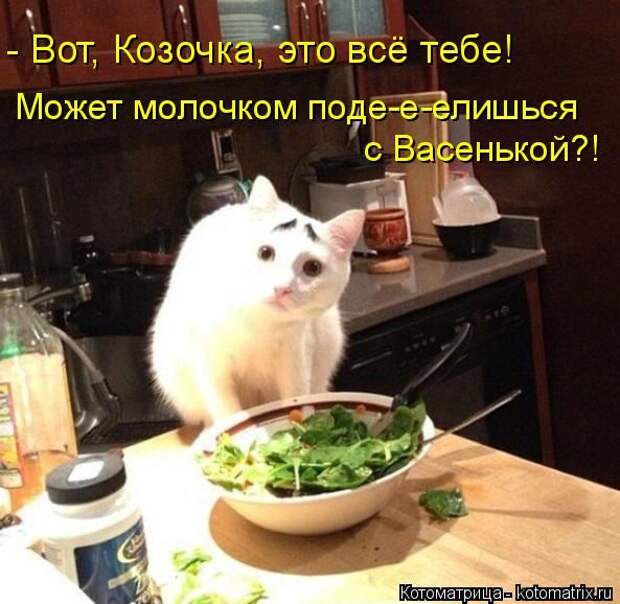 Лучшие котоматрицы недели (50 фото) Лучшие котоматрицы недели (50 фото)