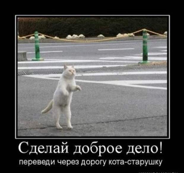 Демотиваторсы с приколом.