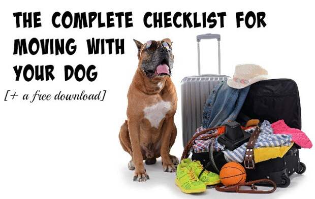 Will you be moving or taking a trip soon with your dog? Here's a complete guide to ensuring a smooth transition!