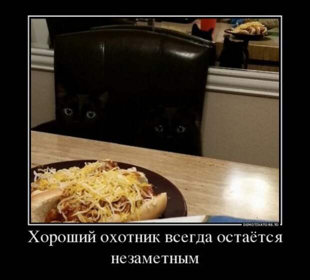 Прикольная пачка демотиваторов. Зимнее настроение Прикольная пачка демотиваторов. Зимнее настроение