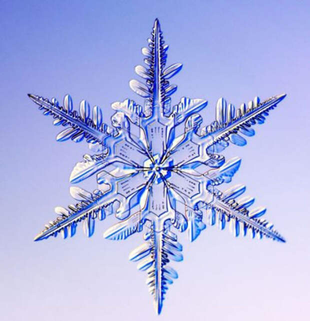Guide To Snowflakes California Institute Of Technology