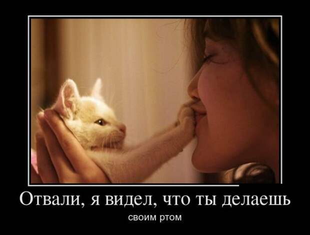 Демотиваторы (30 фото)