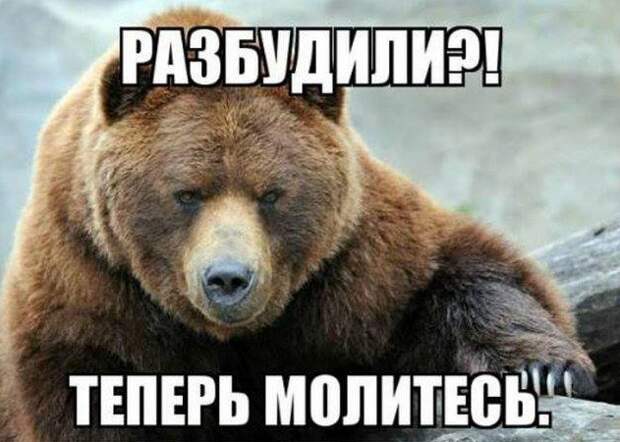 Не будите русского медведя Не будите русского медведя