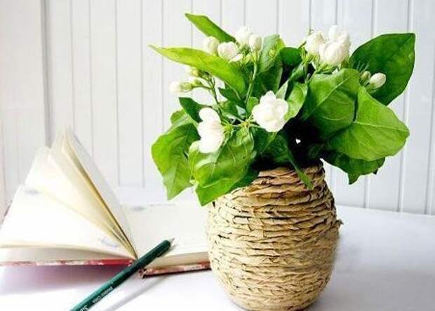 Ваза из банки. Ваза из банки.