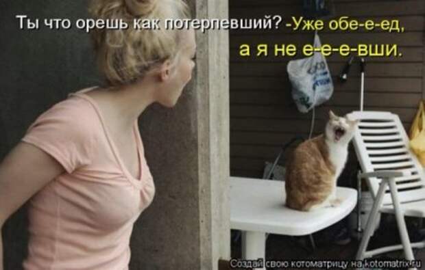 Животные мысли вслух Животные мысли вслух