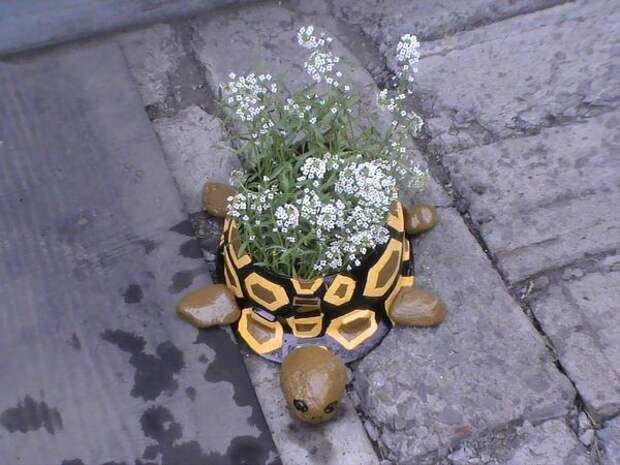 Клумба-черепаха