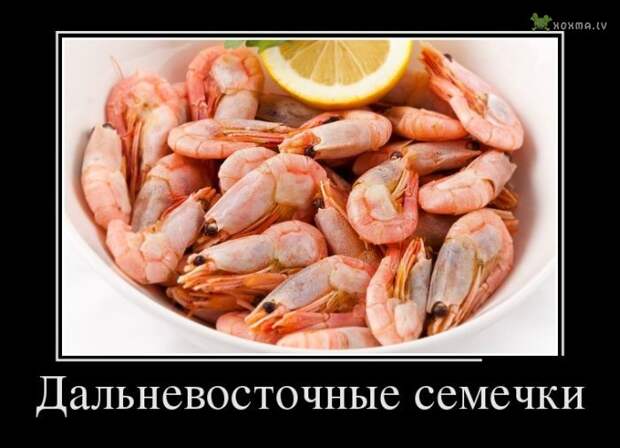 Демотиваторы. Часть 545 (30 картинок)
