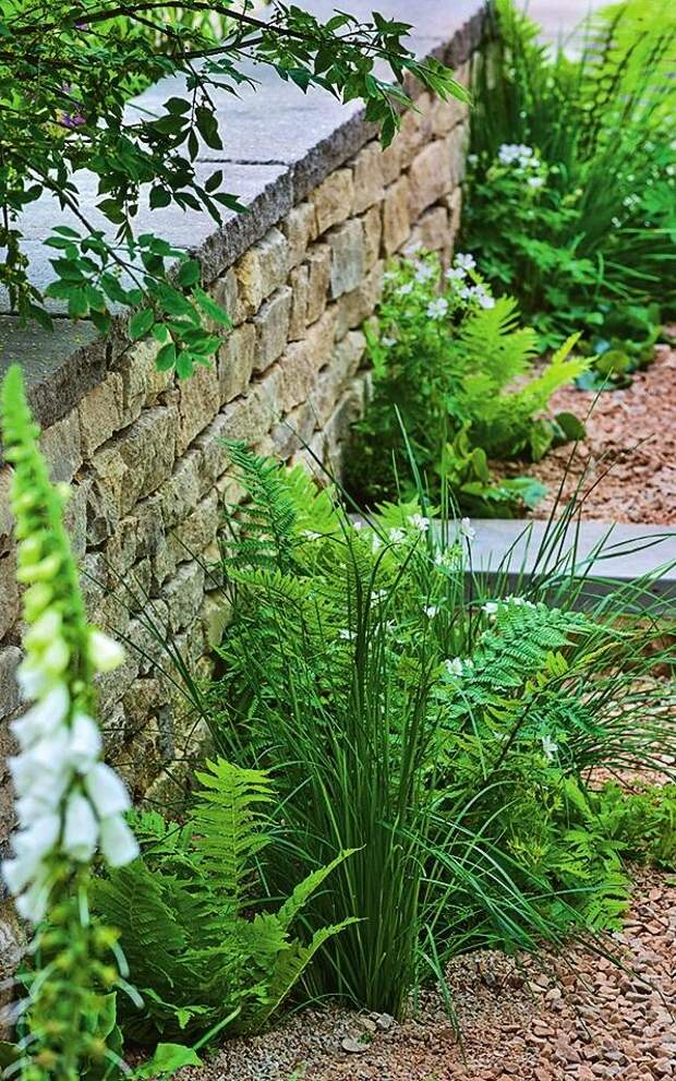 Зеленые растения гармонично соседствуют с каменными элементами.