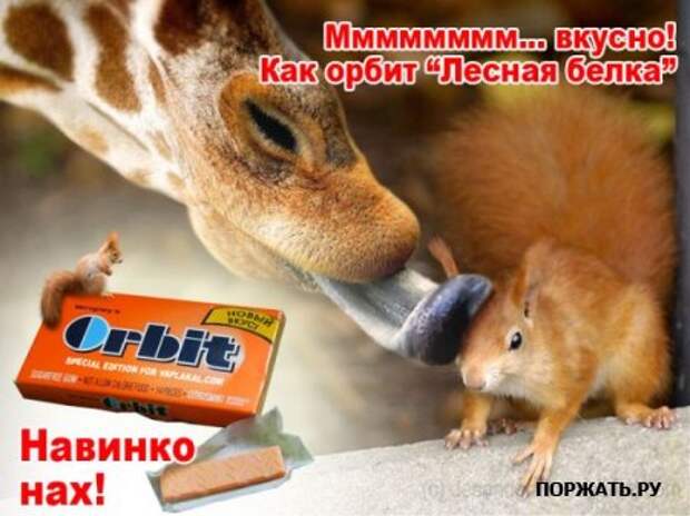 Картинки фото приколы для контакта.