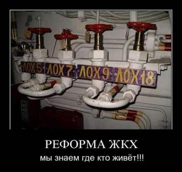 Демотиваторы приколы к выходным.