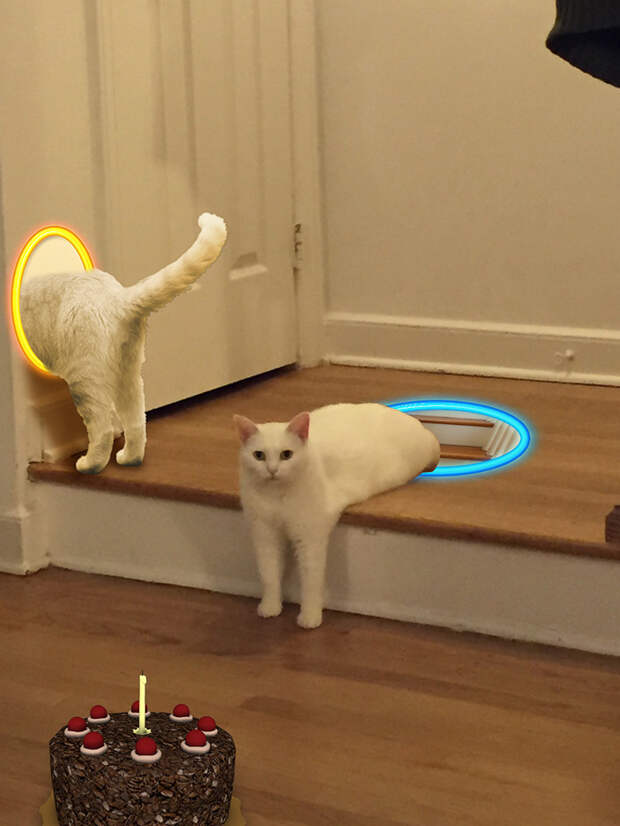 Portalcat