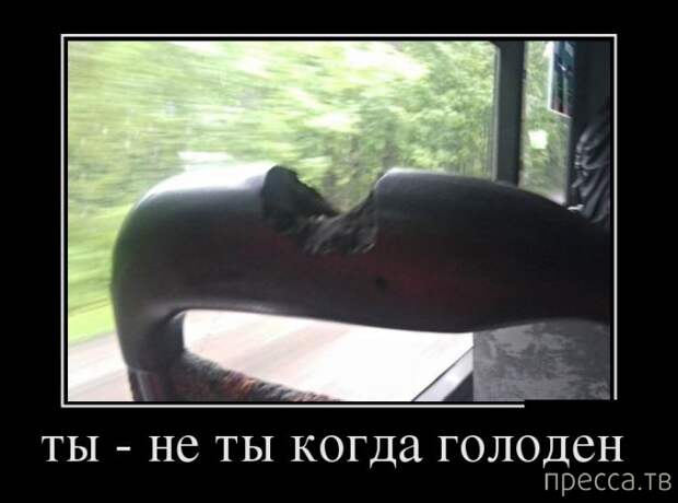 Демотиваторы (30 фото)