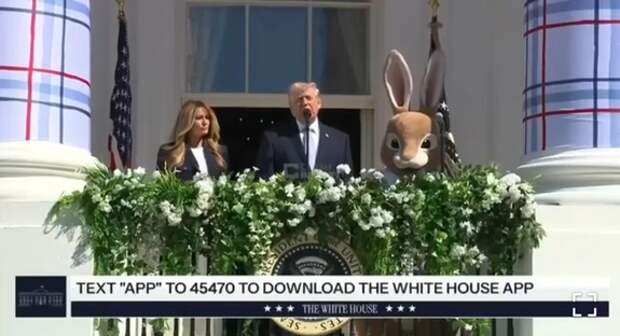 Их предложение недостаточно хорошее»: глава Белого дома ждёт от Тегерана уступок