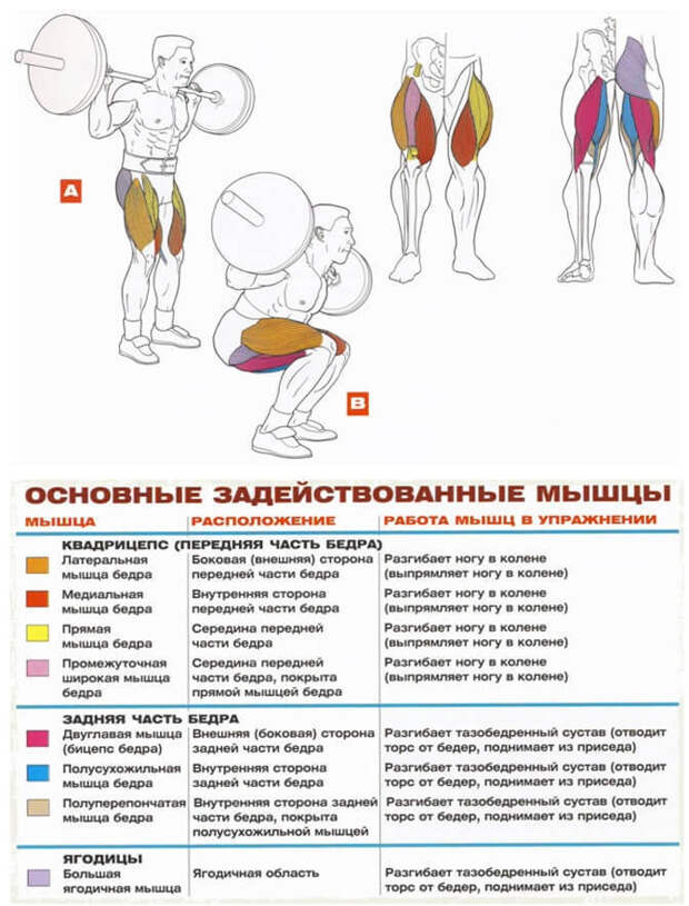 Многоповторные приседания