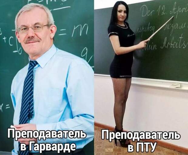Картинки, юмор, приколы